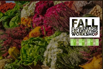 Fall Flowers Online plus Supplies